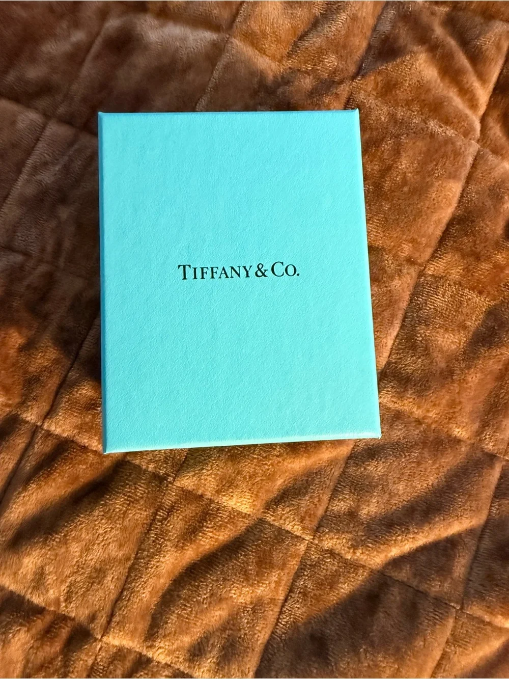 Tiffany & Co. Blue Gift Bag and Box Set